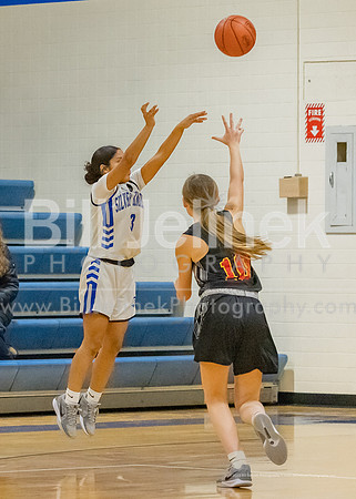 BRHS JV v CSG, 1/7/25