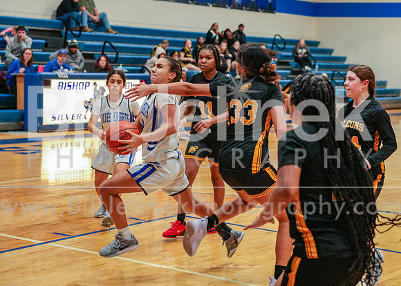 BRHS JV v FHHS, 2/6/25