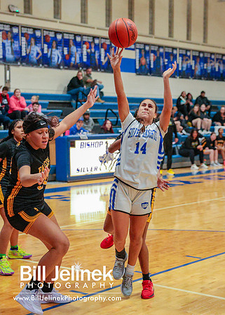 BRHS JV v FHHS, 2/6/25