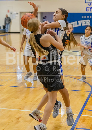 BRHS JV v CSG, 1/7/25