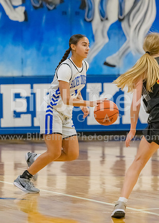 BRHS JV v CSG, 1/7/25