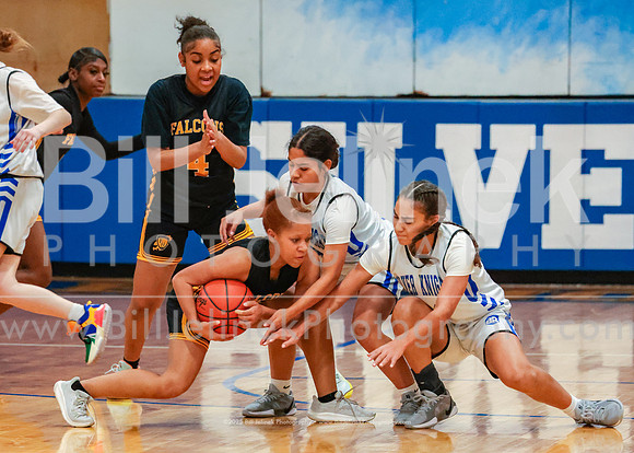 BRHS JV v FHHS, 2/6/25