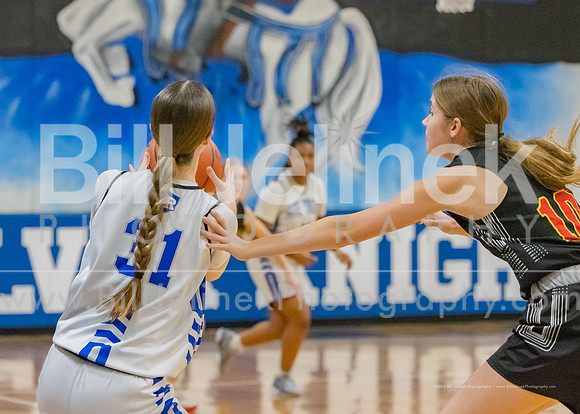 BRHS JV v CSG, 1/7/25