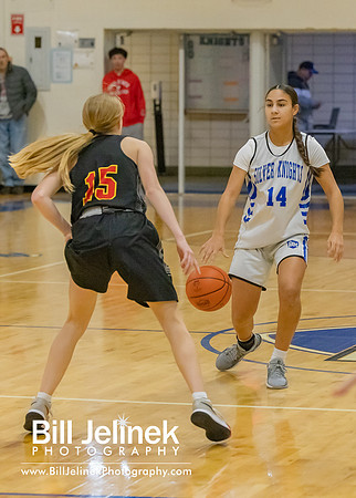 BRHS JV v CSG, 1/7/25