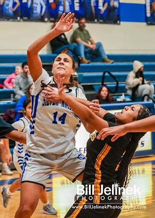 BRHS JV v FHHS, 2/6/25
