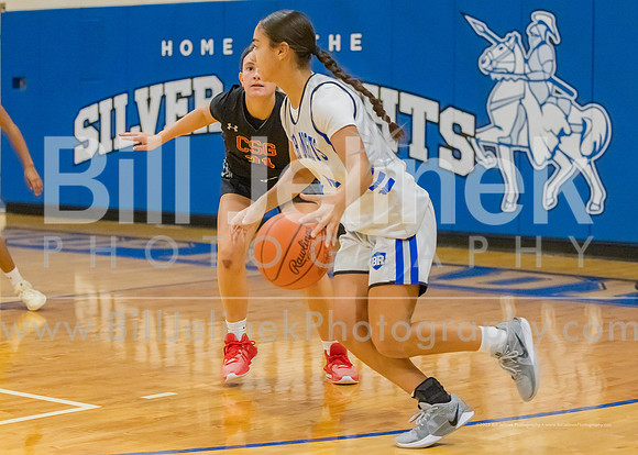 BRHS JV v CSG, 1/7/25