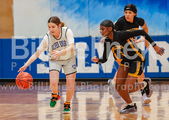 BRHS JV v FHHS, 2/6/25