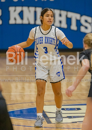 BRHS JV v CSG, 1/7/25