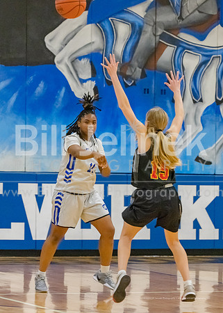 BRHS JV v CSG, 1/7/25