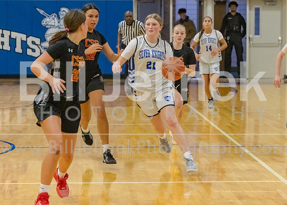 BRHS JV v CSG, 1/7/25