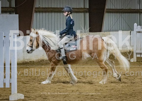 IEA Qualifier -Day 1-Jumping