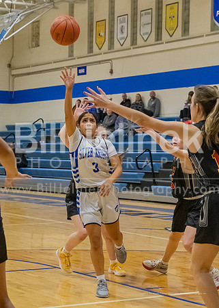 BRHS JV v CSG, 1/7/25