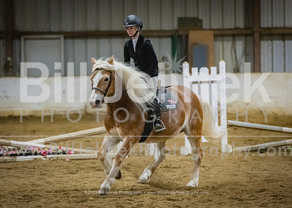 IEA Qualifier -Day 1-Jumping