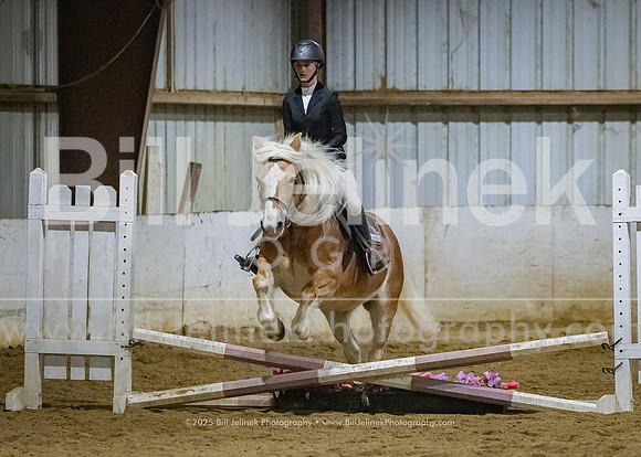 IEA Qualifier -Day 1-Jumping