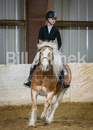 IEA Qualifier -Day 1-Jumping