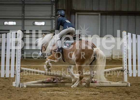 IEA Qualifier -Day 1-Jumping