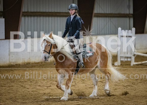 IEA Qualifier -Day 1-Jumping