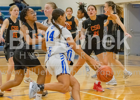 BRHS JV v CSG, 1/7/25