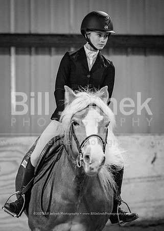 IEA Qualifier -Day 1-Jumping