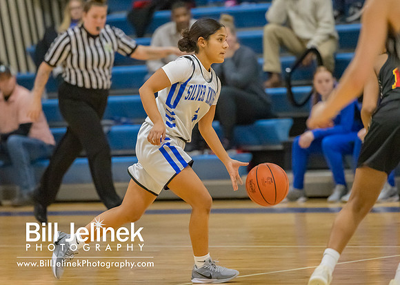 BRHS JV v CSG, 1/7/25