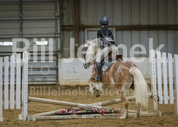 IEA Qualifier -Day 1-Jumping