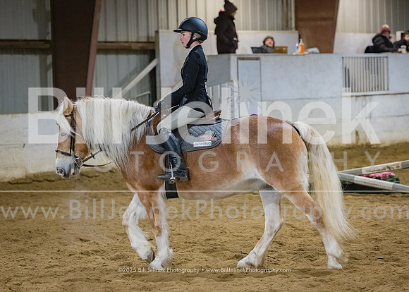 IEA Qualifier -Day 1-Jumping