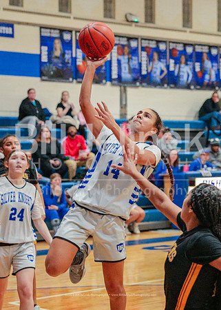 BRHS JV v FHHS, 2/6/25