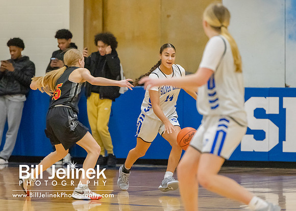 BRHS JV v CSG, 1/7/25