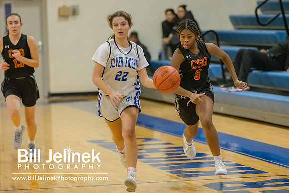 BRHS JV v CSG, 1/7/25