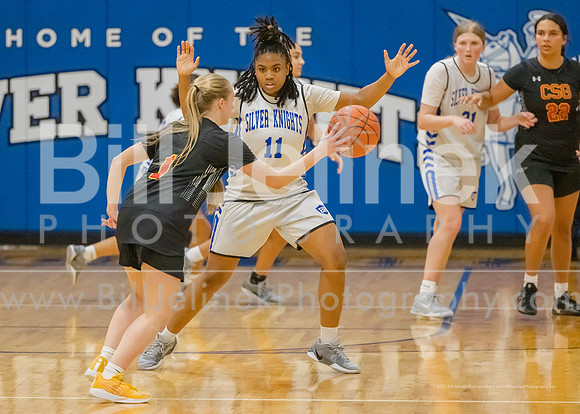 BRHS JV v CSG, 1/7/25