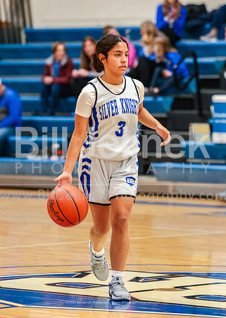 BRHS JV v FHHS, 2/6/25