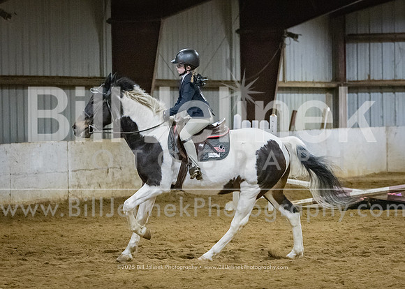 IEA Qualifier -Day 1-Jumping