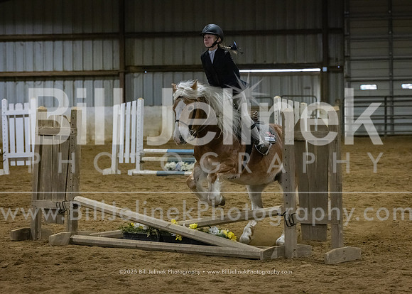 IEA Qualifier -Day 1-Jumping